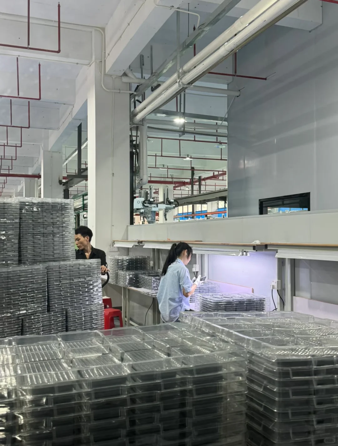 花都长白班普工招聘啦