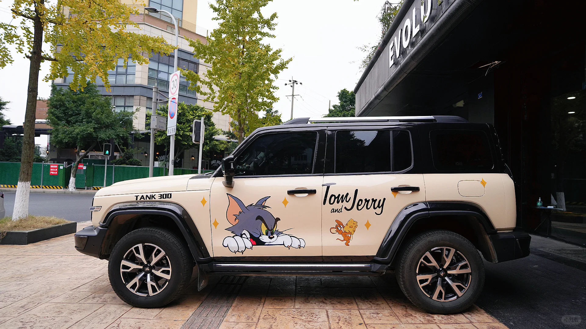 EC｜男人的大玩具车?坦克300定制彩绘 ?