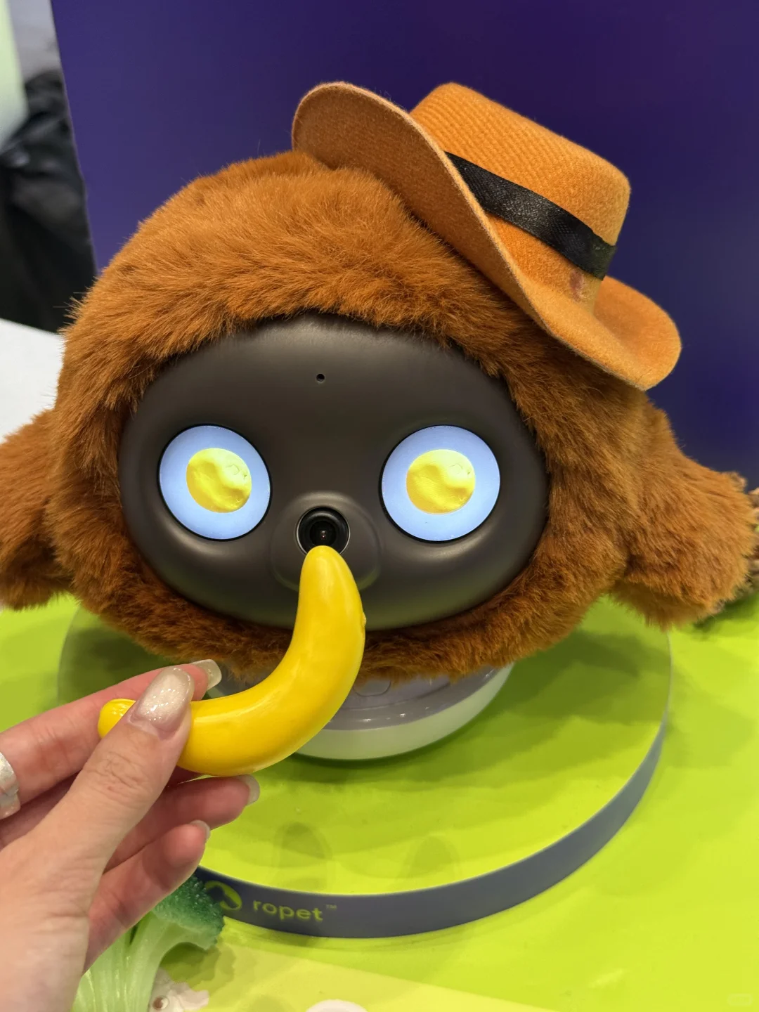 天!这是什么神仙哈基米!好萌啊……还领一堆?