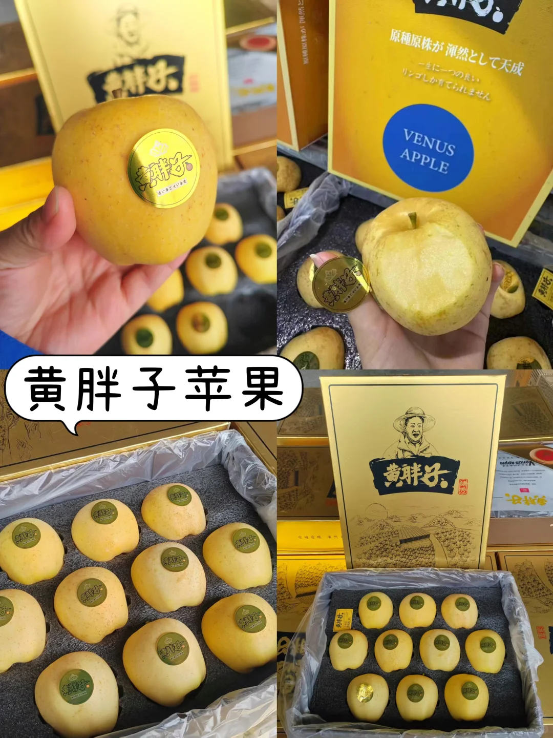 十月的水果市场挑花眼❗️实现水果自由