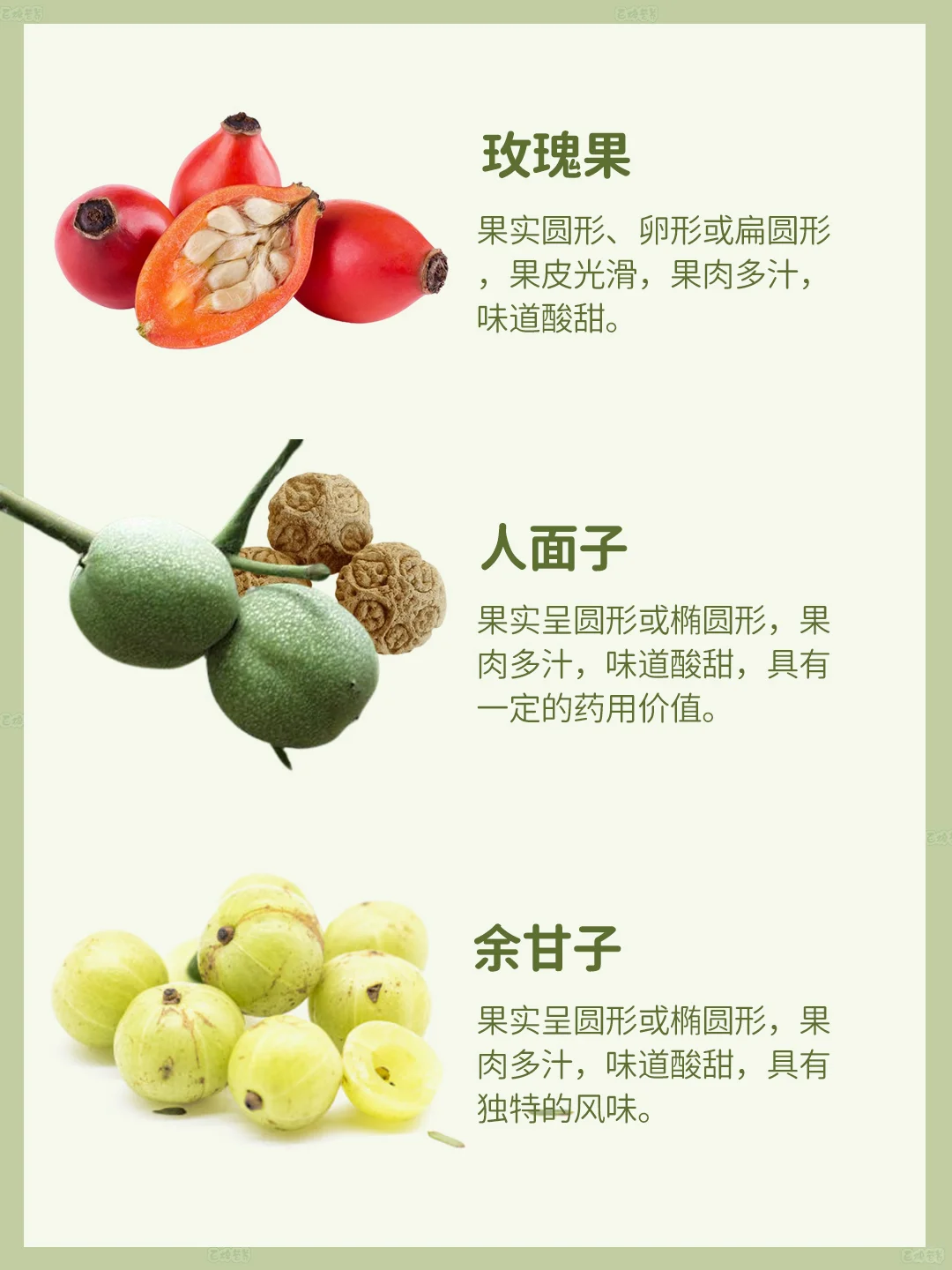 核果家族大揭秘!这些宝藏水果你都尝过吗?