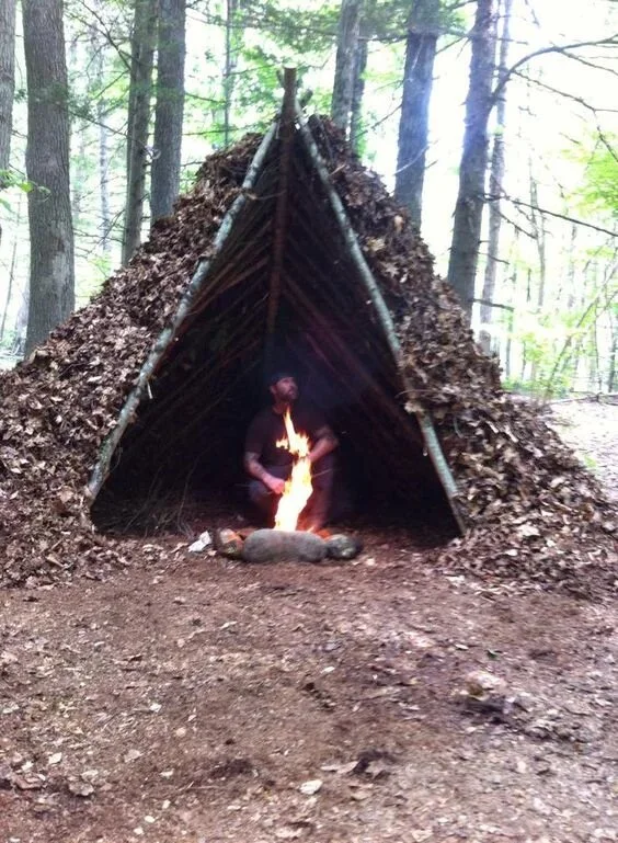 野外生存庇护所
