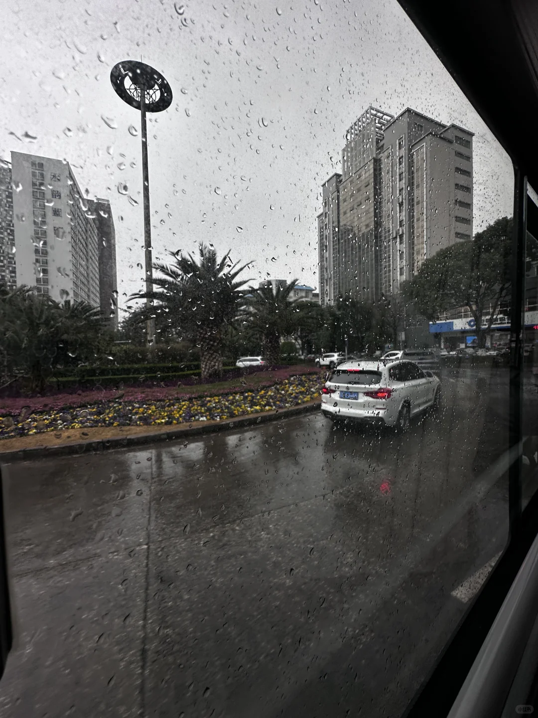 原创暗调车窗玻璃6张