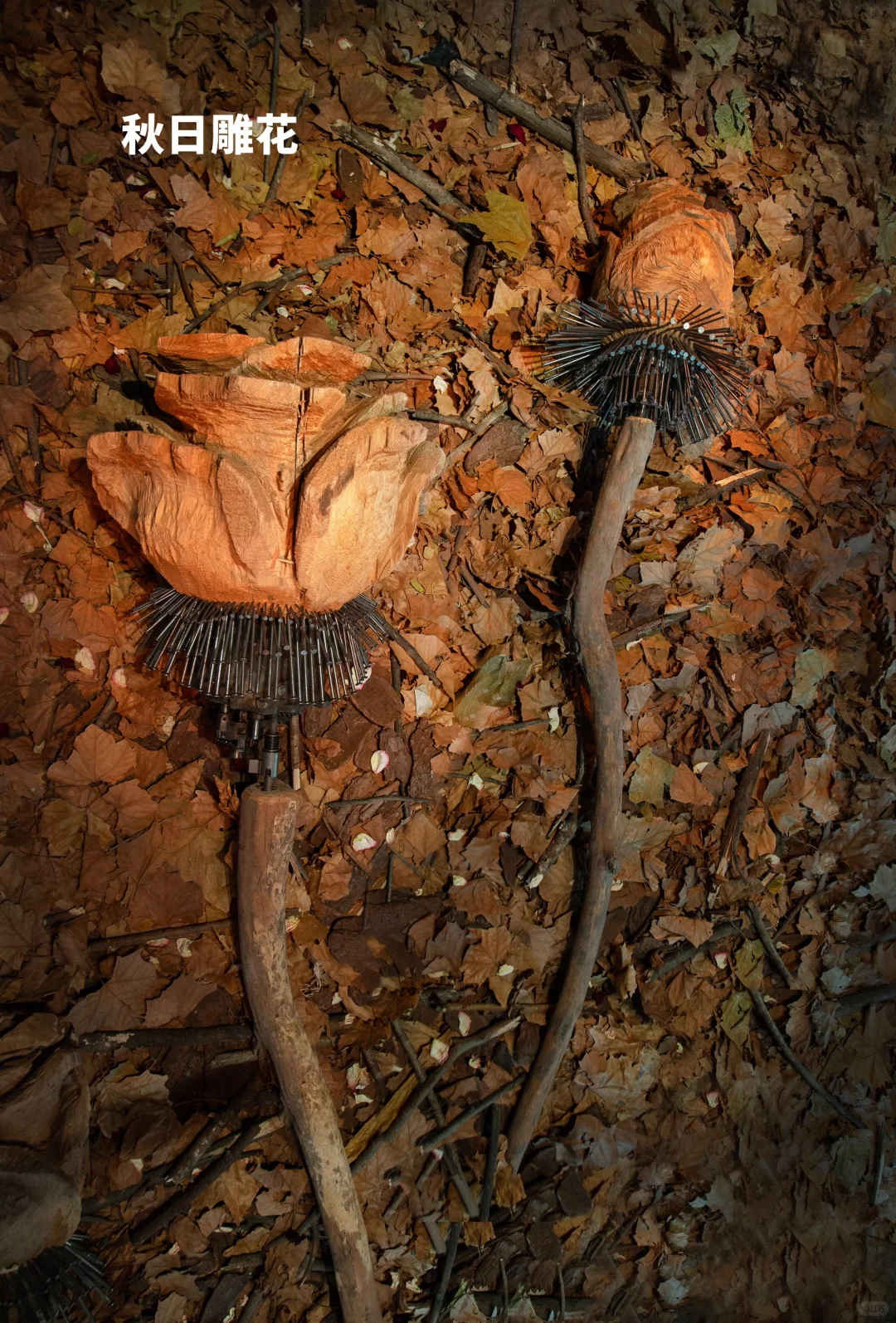 木雕邂逅深秋?艺术与自然的双向奔赴