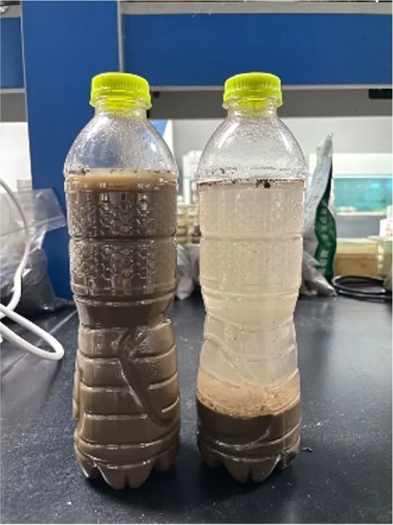 ?神奇宝藏?土壤修复菌剂，让土地重焕生机