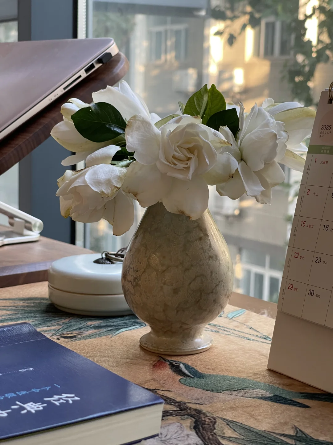 家居博主是怎么把家拍好看的?