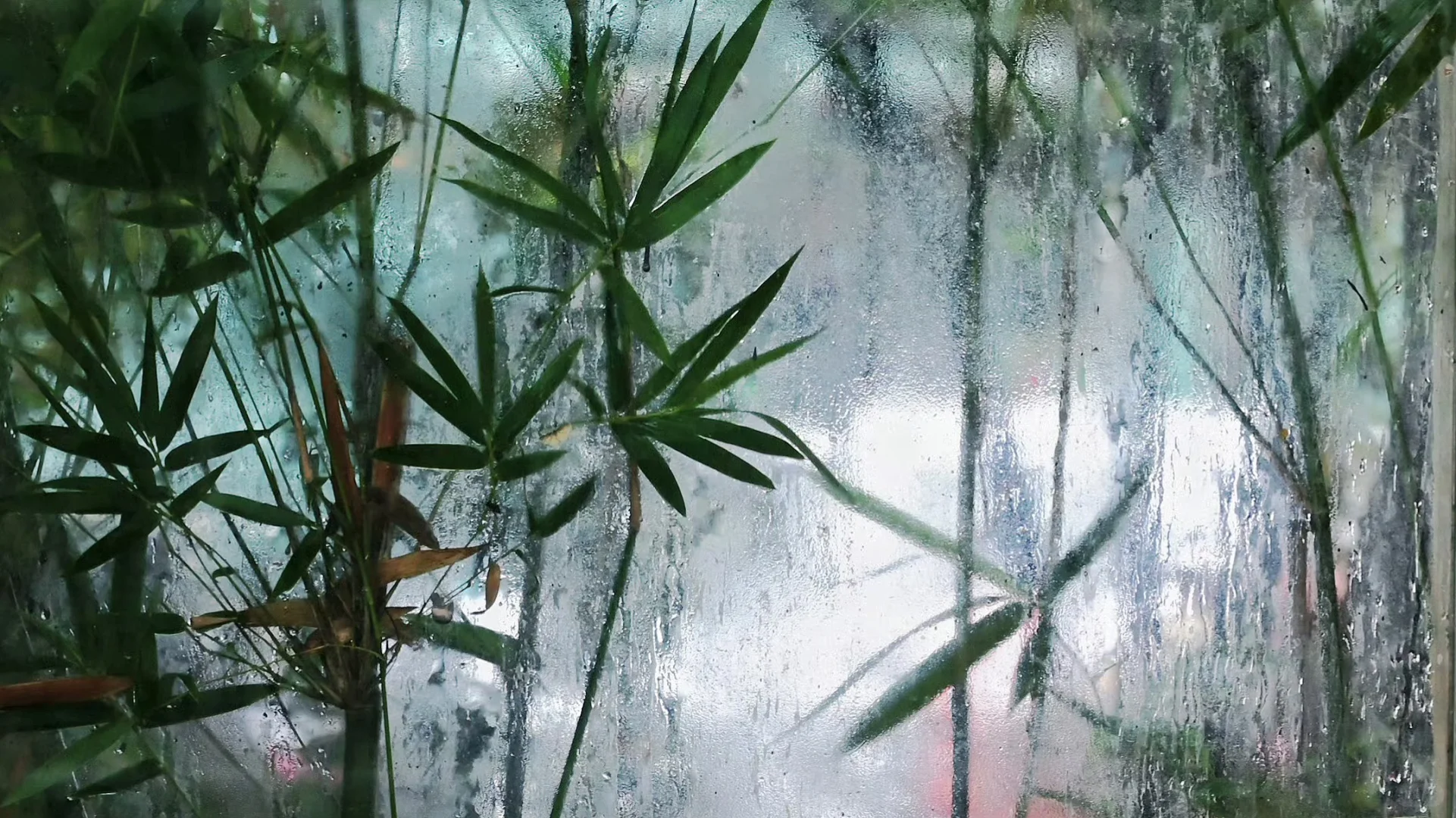 破碎但又泛着光