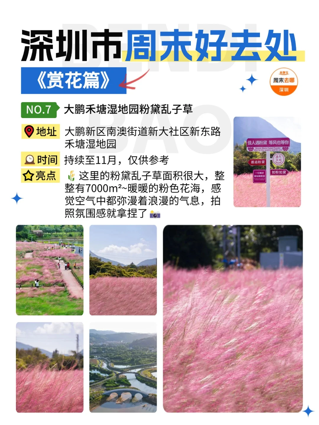 深圳这个周末能做的24件事‼️好多免费