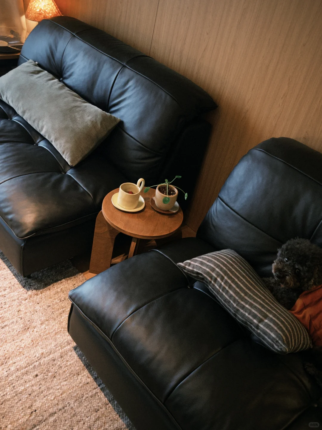 75平小家,这样布置很舒服