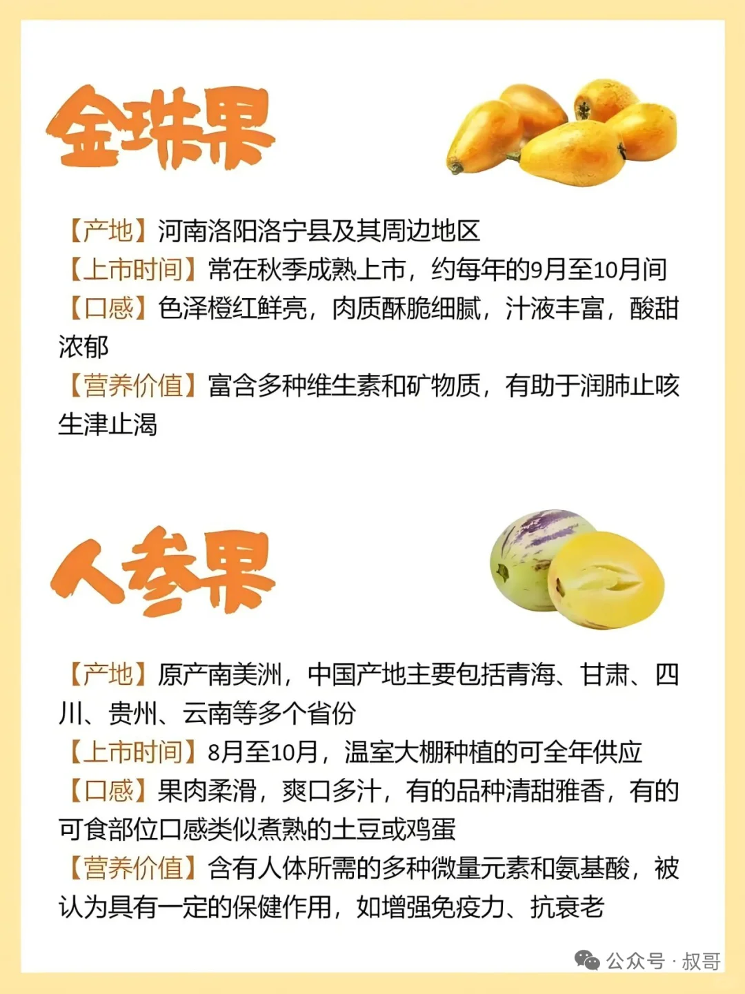 存在感不强的小众水果介绍~~