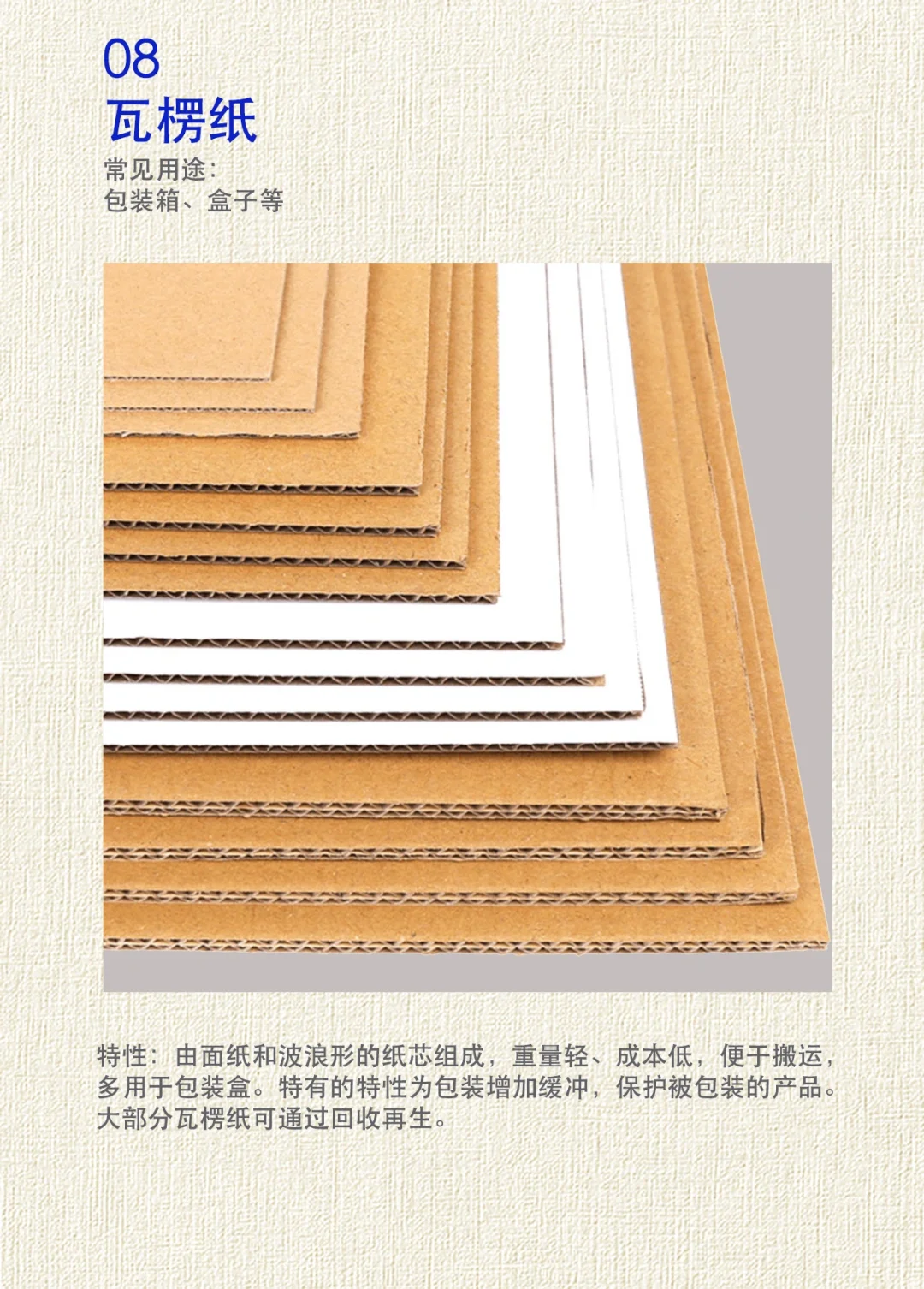 干货!24年纸张企业分享纸张知识设计师必备