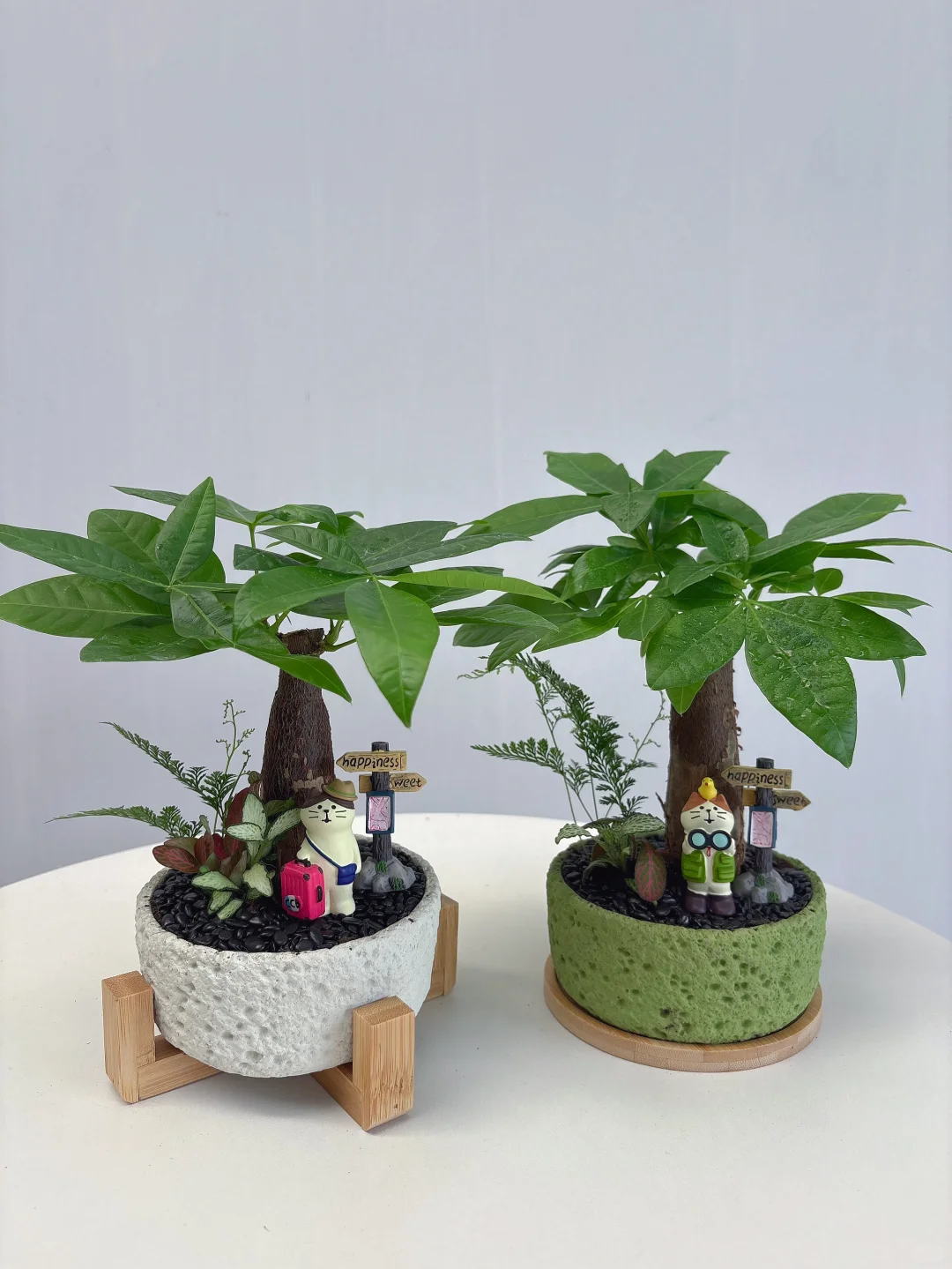 因为这个工位绿植?我不想下班了