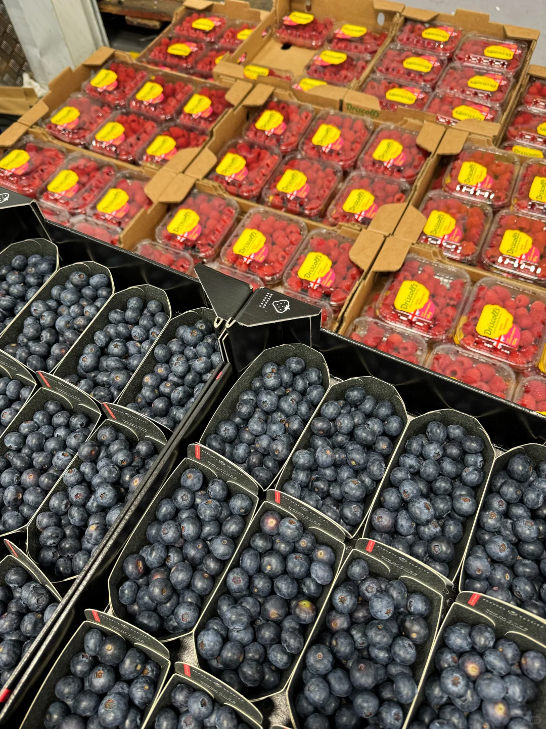 ??｜是谁凌晨三点在逛水果市场