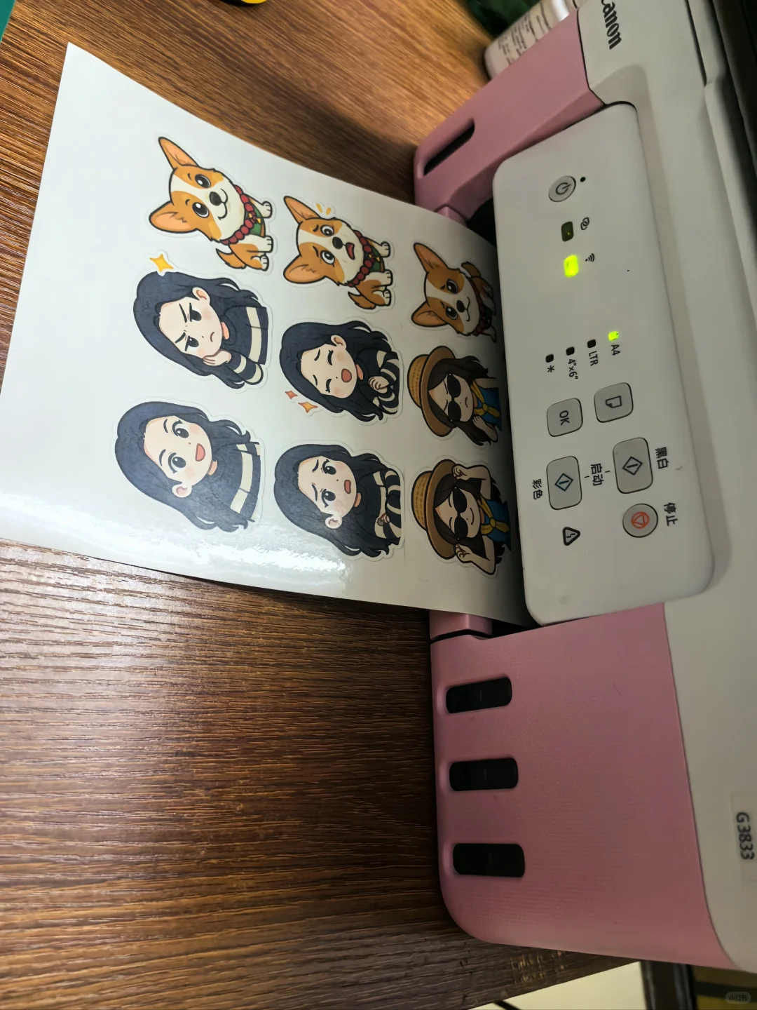 打印机自制贴纸｜三步轻松实现贴纸自由