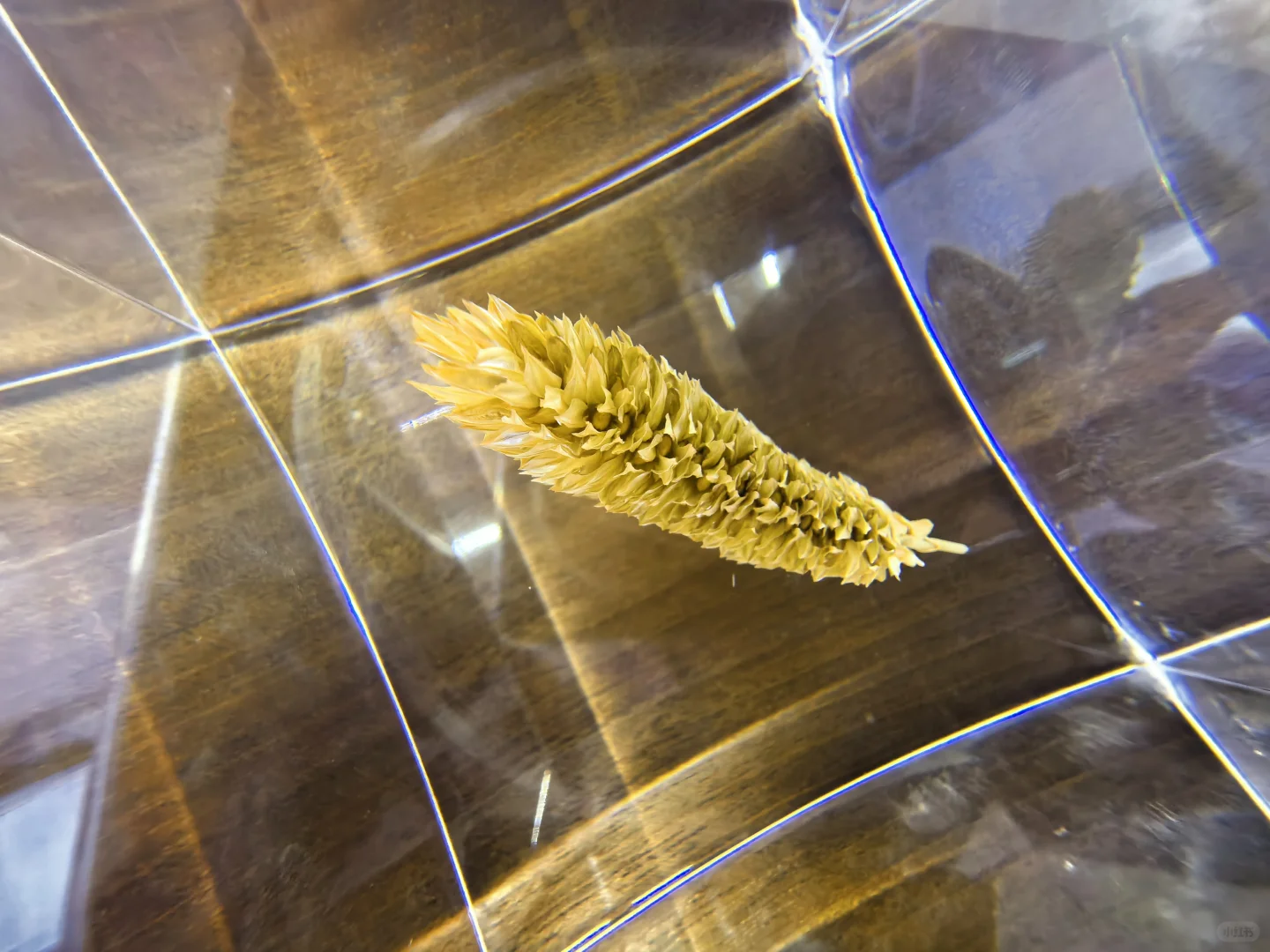 CMF树脂工艺01篇:从液态到固态的工艺魔法