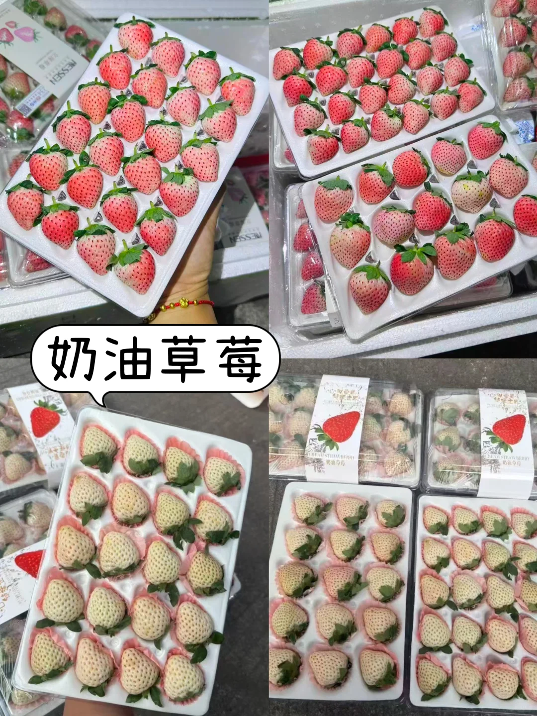 十月的水果市场挑花眼❗️实现水果自由