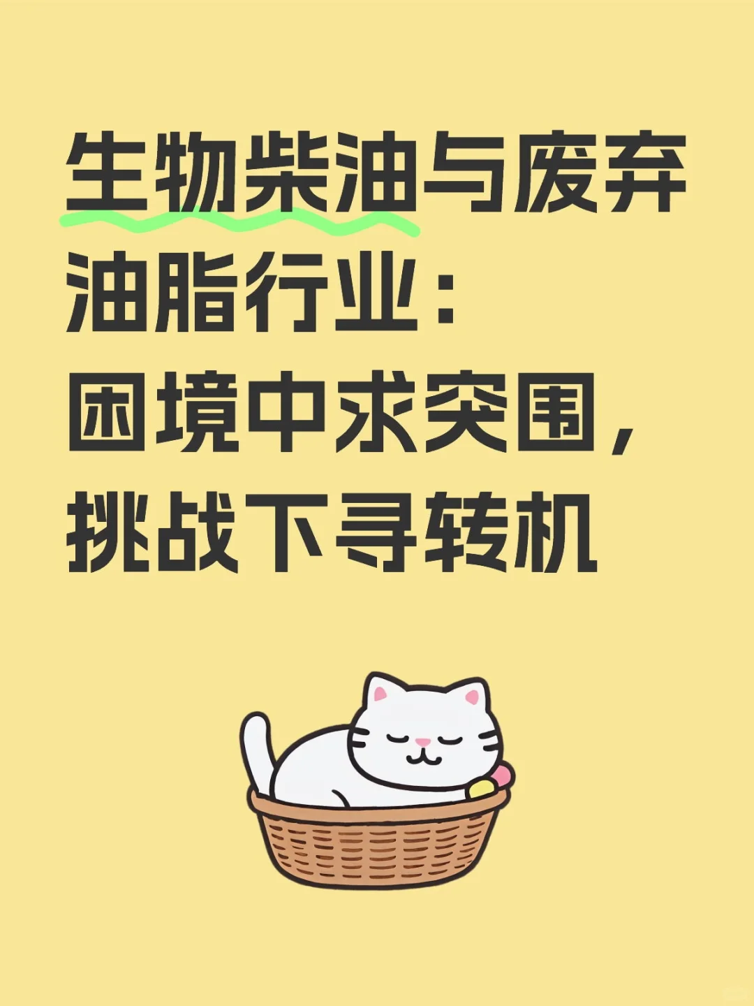 生物柴油与废弃油脂行业:困境中求突围