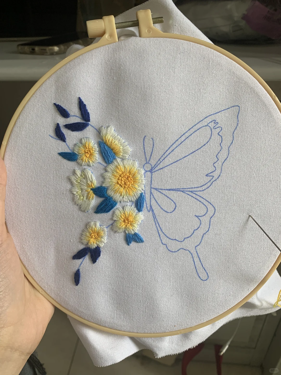 ?一只蝴蝶的成长过程