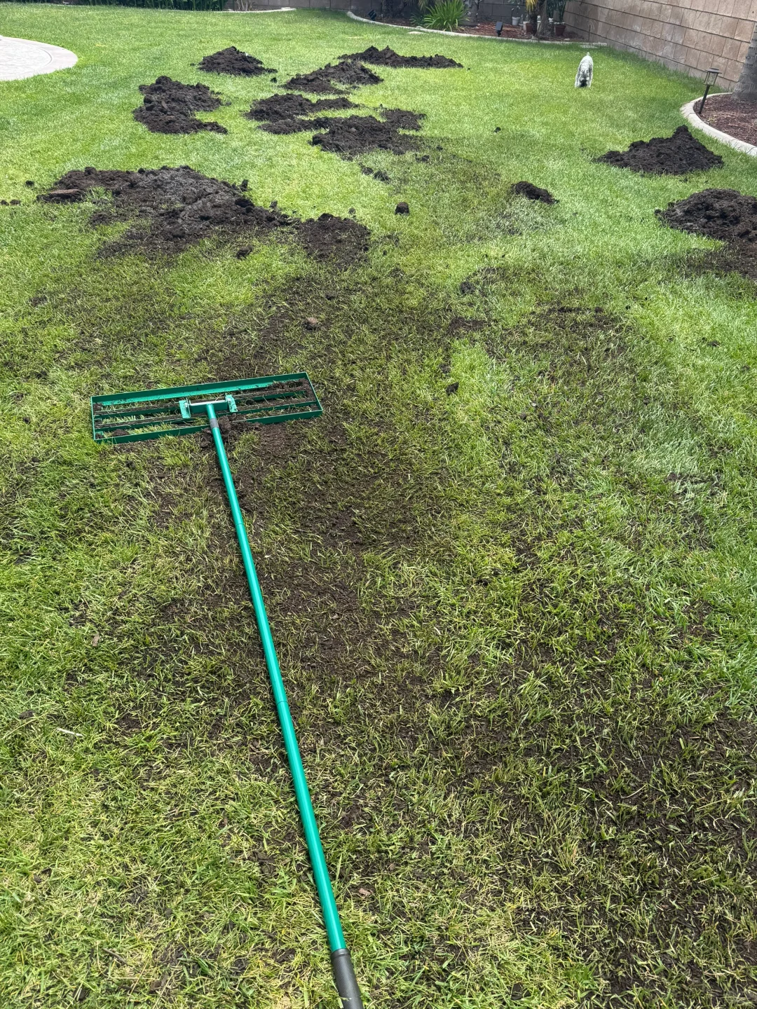草坪补土