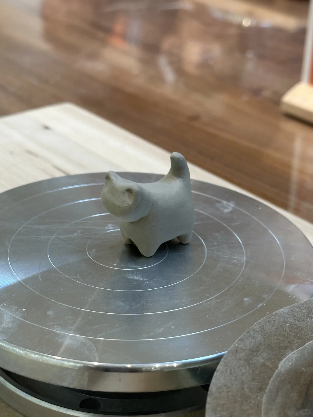 一个鱼缸猫猫杯的诞生??