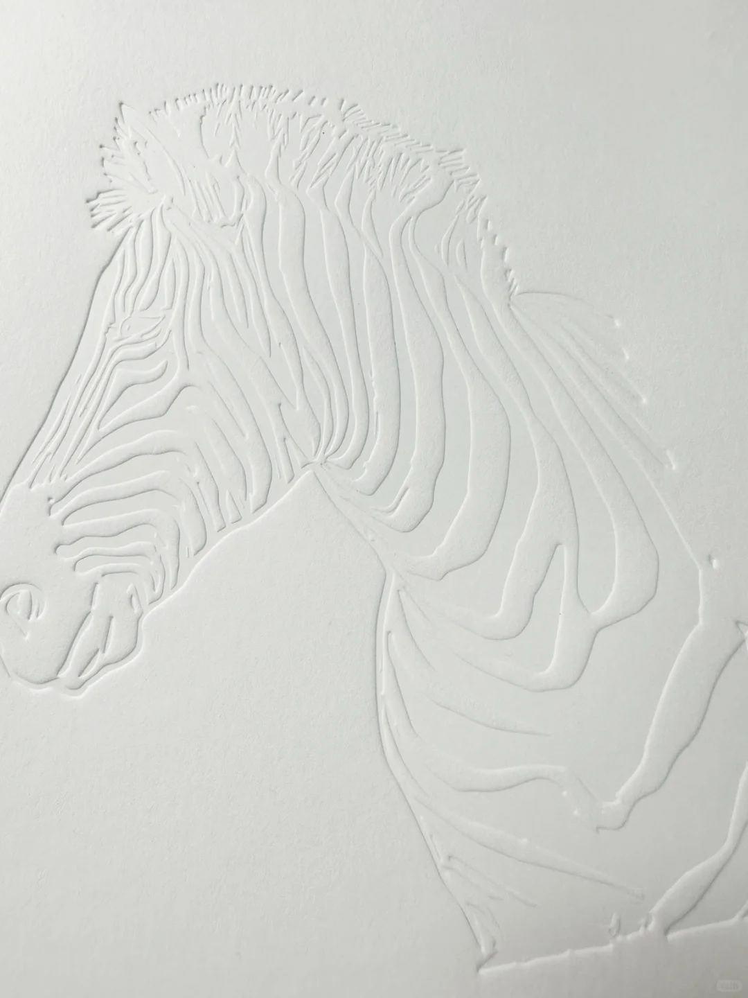 特种纸做无色压凹工艺,肌理感爆棚,质感突出