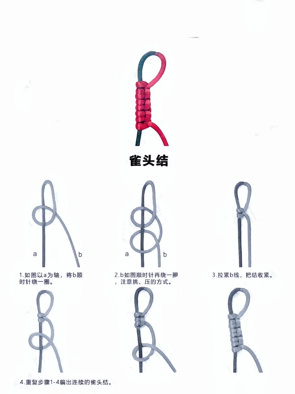 全网 zui全?绳结教程，一学就会！