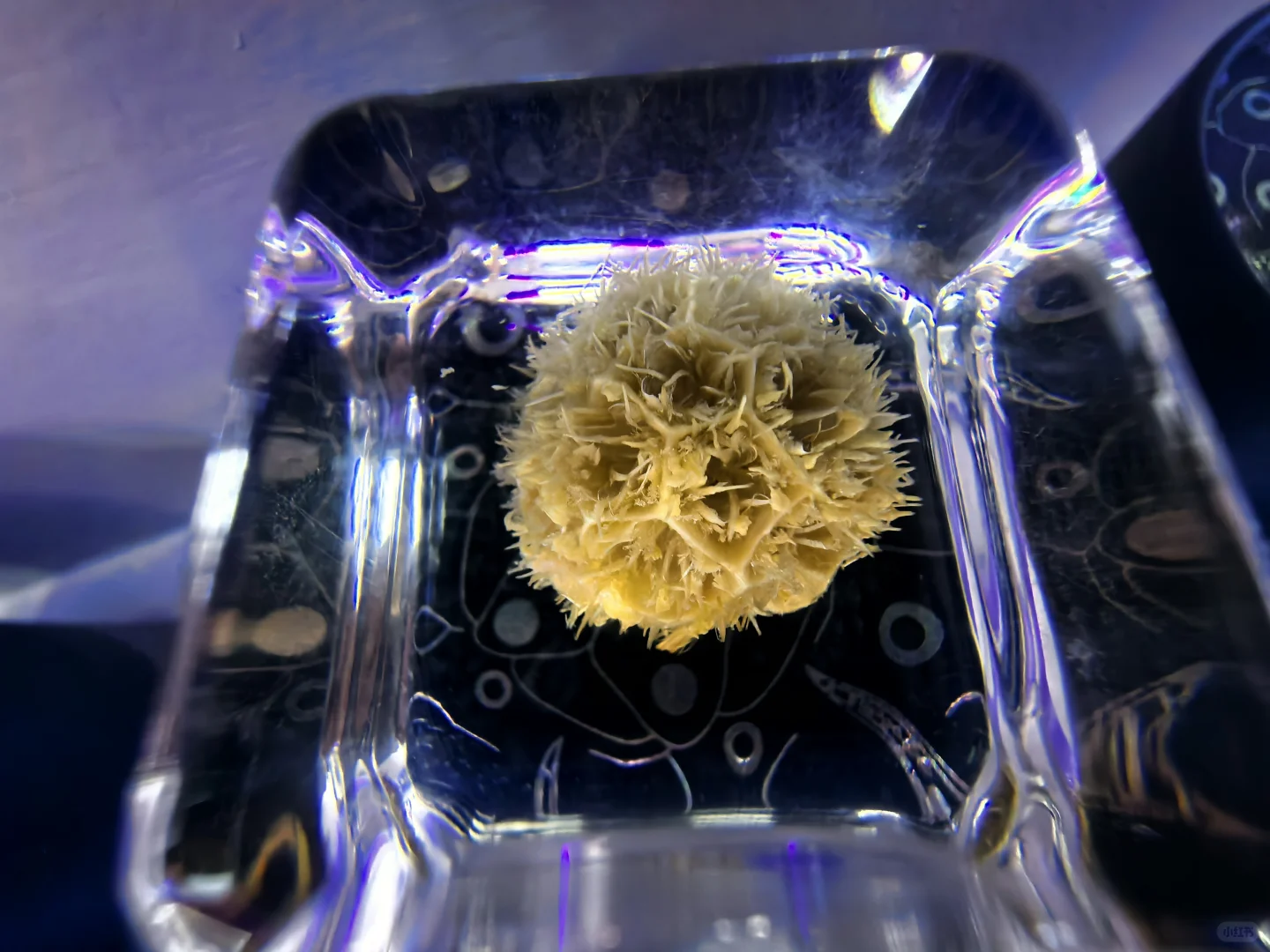 CMF树脂工艺01篇:从液态到固态的工艺魔法