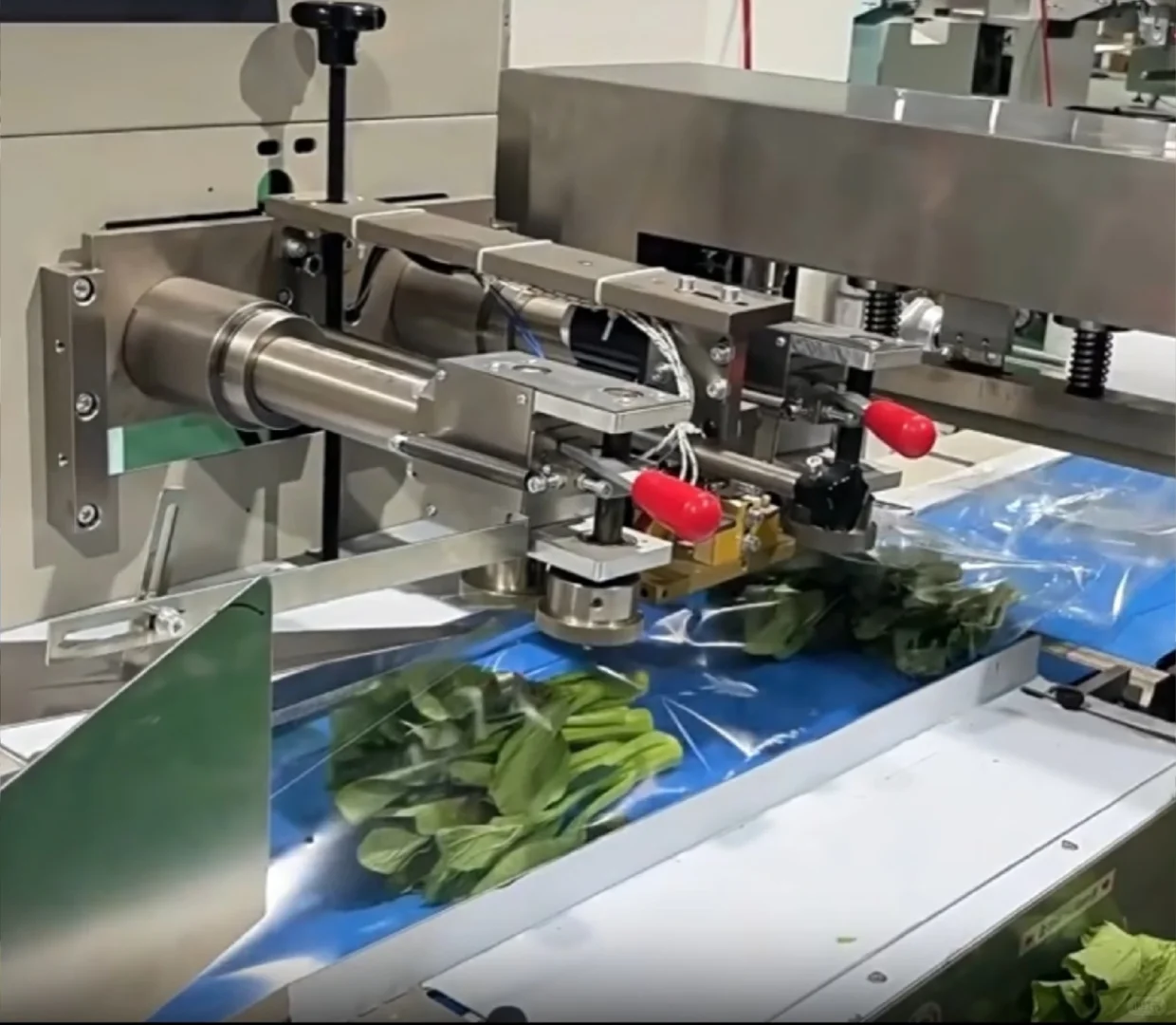 机械设计——叶菜清洗设备