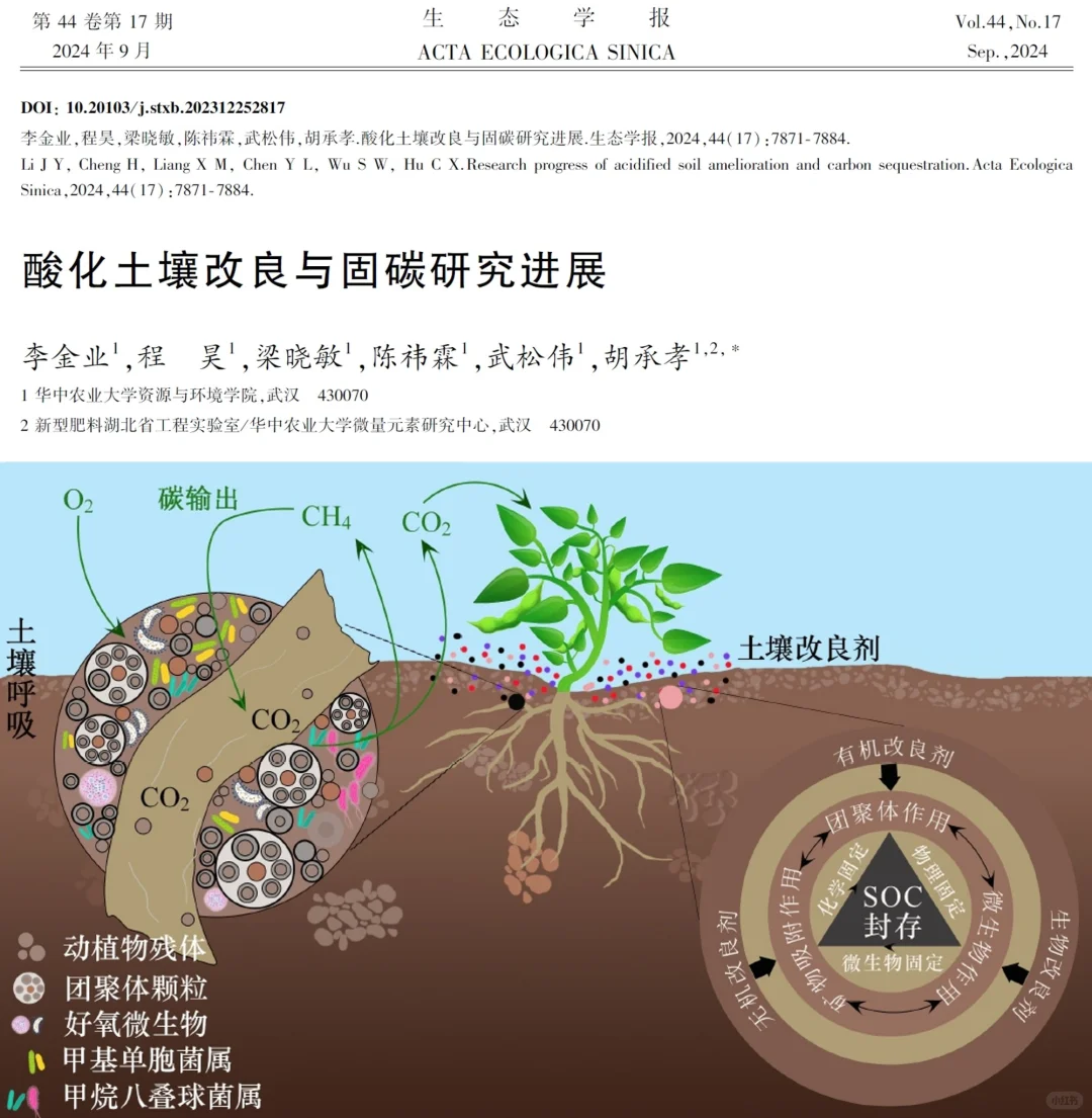 综述 | 酸化土壤改良与固碳研究进展
