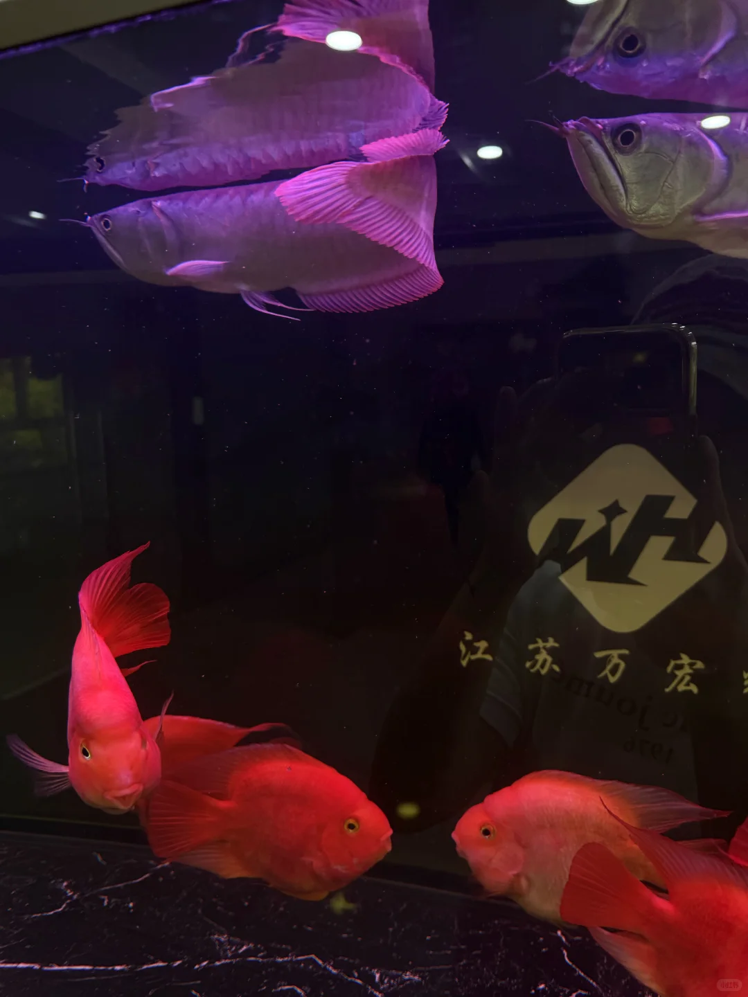 95后｜无锡钢材人的周六日常碎碎念