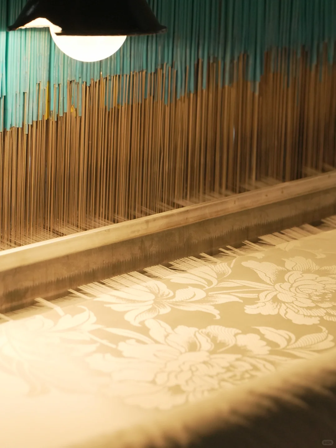 ?日月如梭的场景,你真的见过吗?