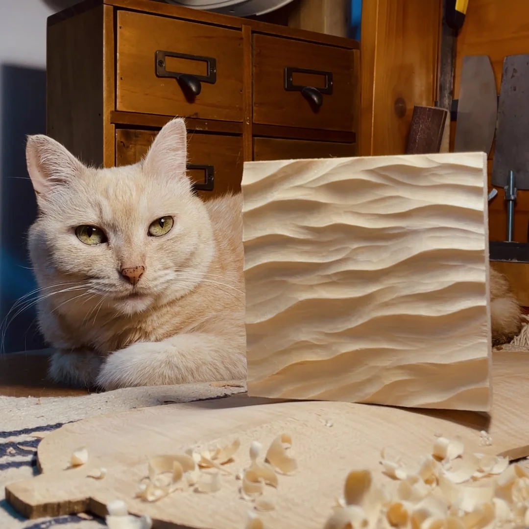 我知道自己的局限 但依旧创造着我的生活