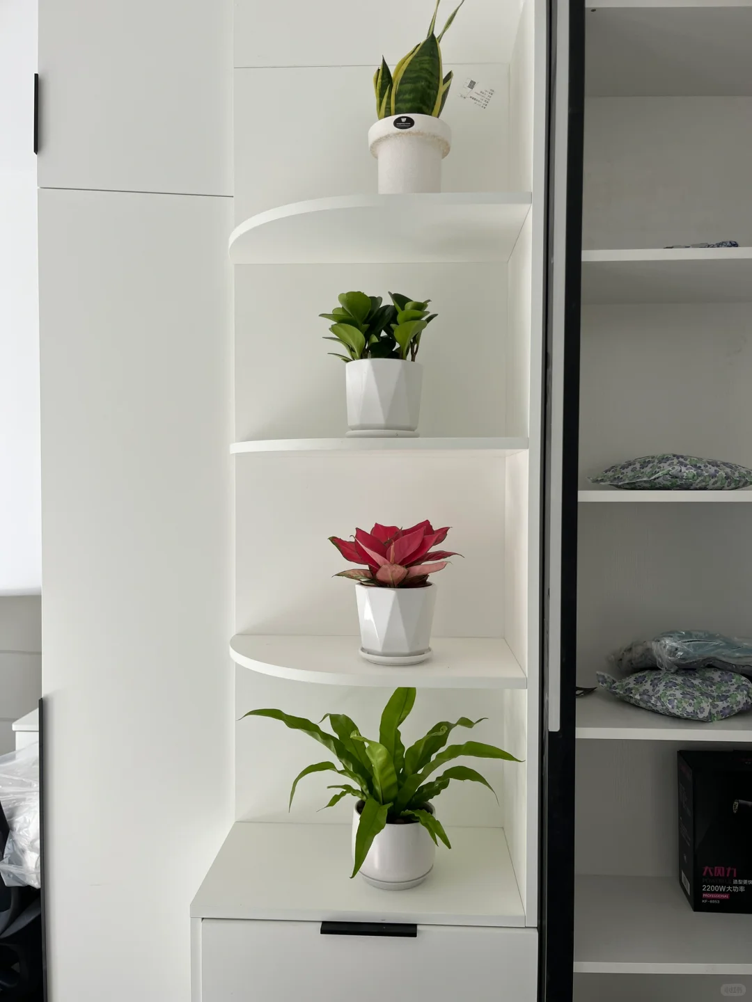 柜子空格摆放什么物品？