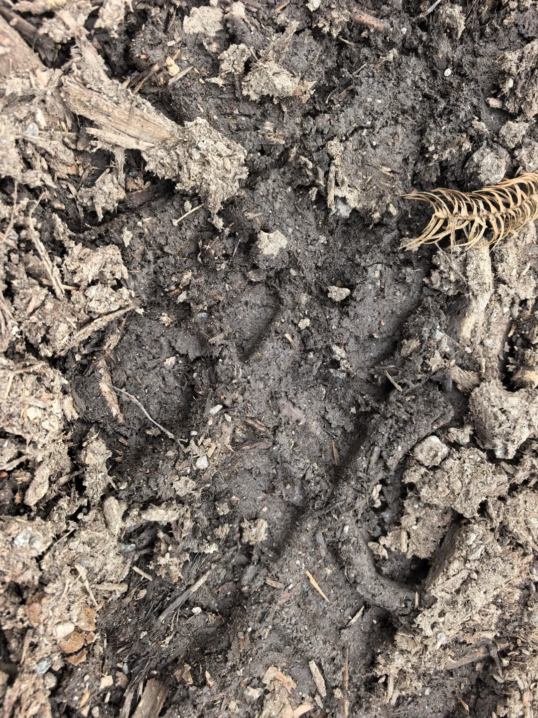 突然发现树皮才是最好的改土材料