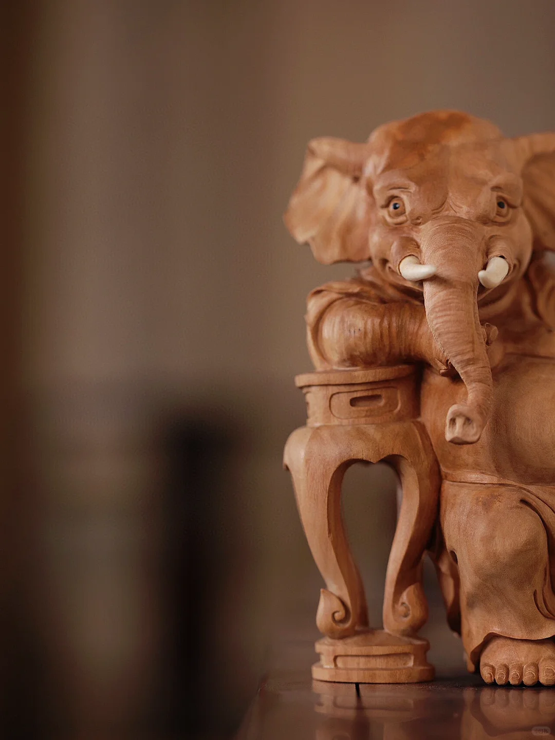 谁能拒绝酷酷的小象呢