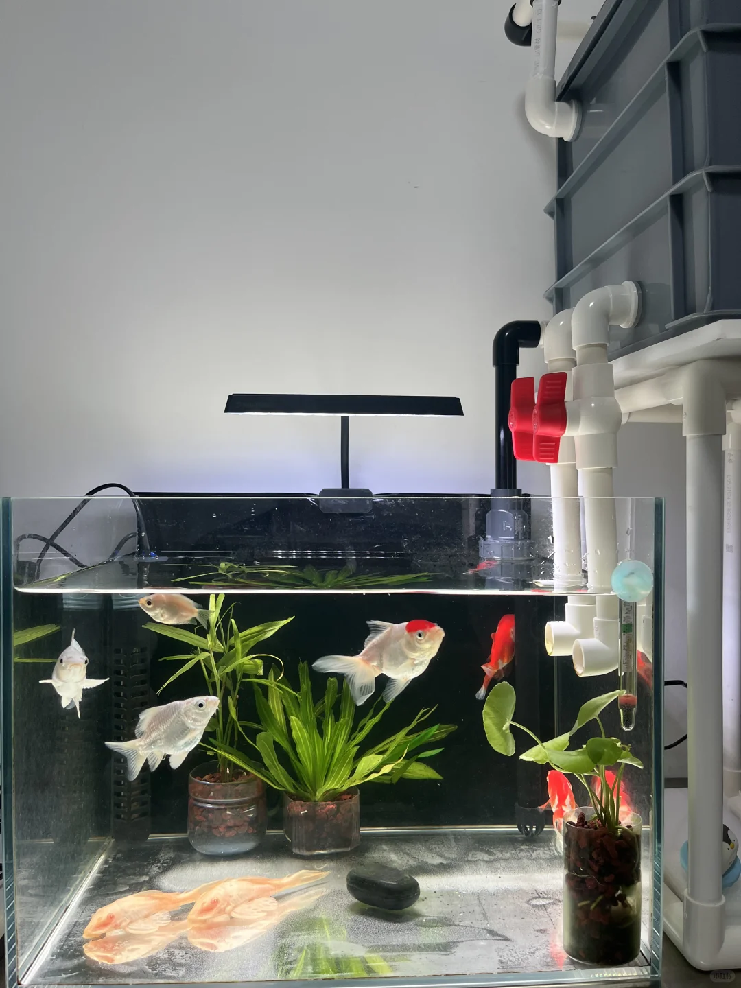 记录外置水泵最终模样