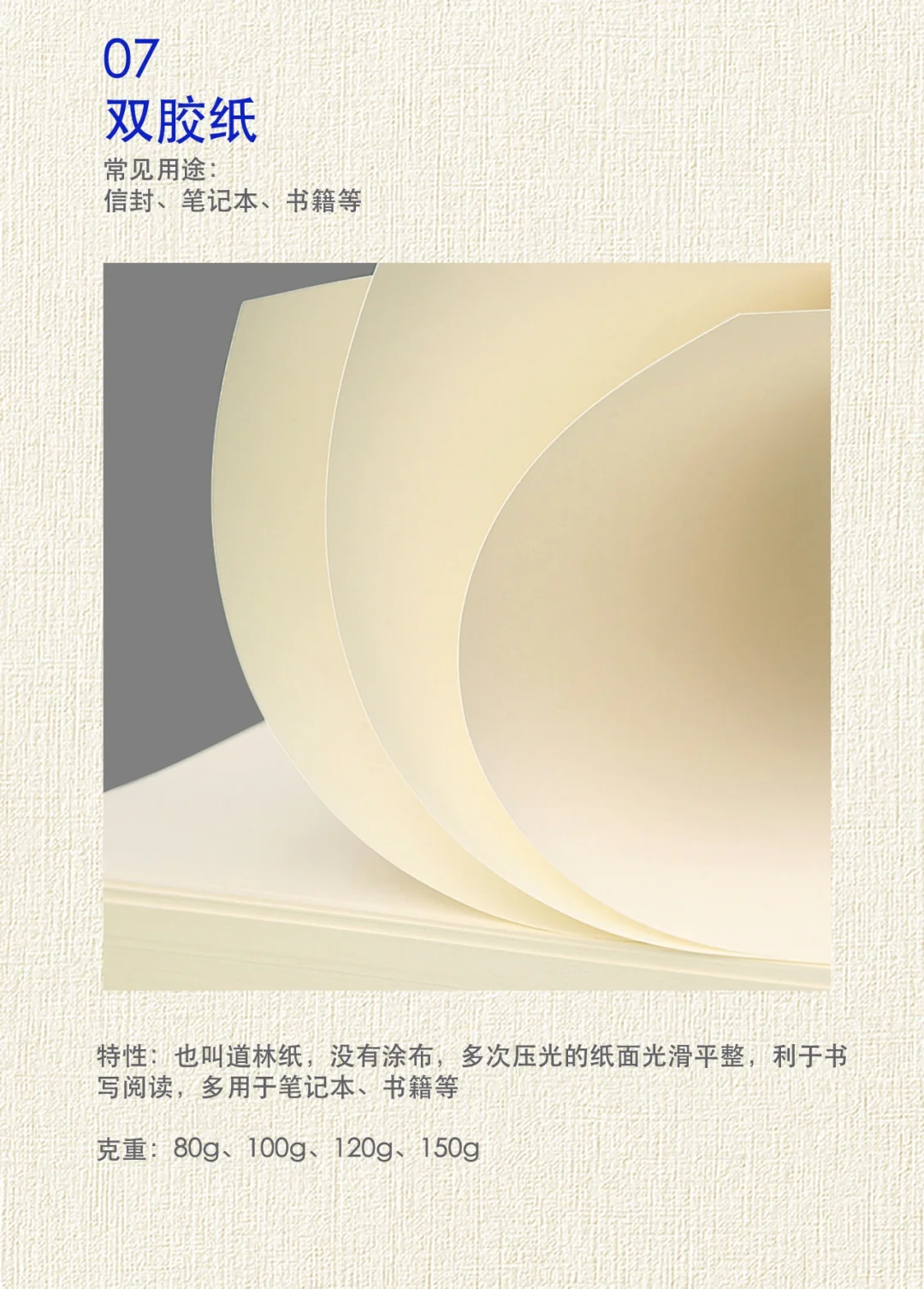 干货!24年纸张企业分享纸张知识设计师必备