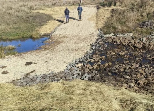 什么是水土修复