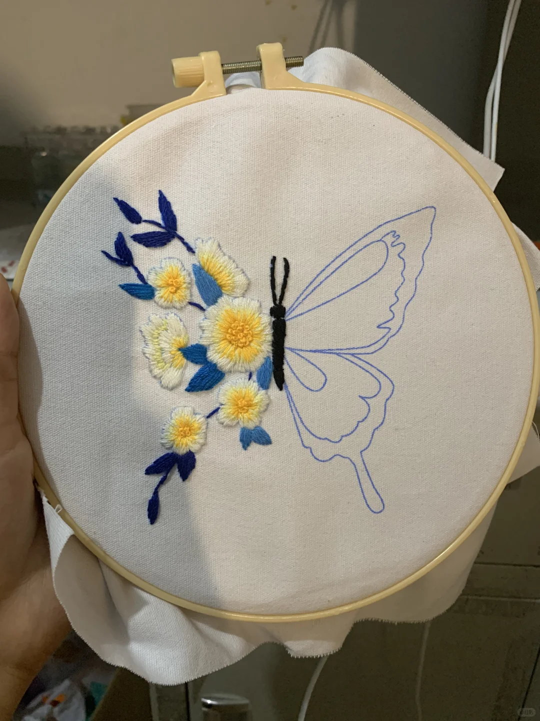 ?一只蝴蝶的成长过程