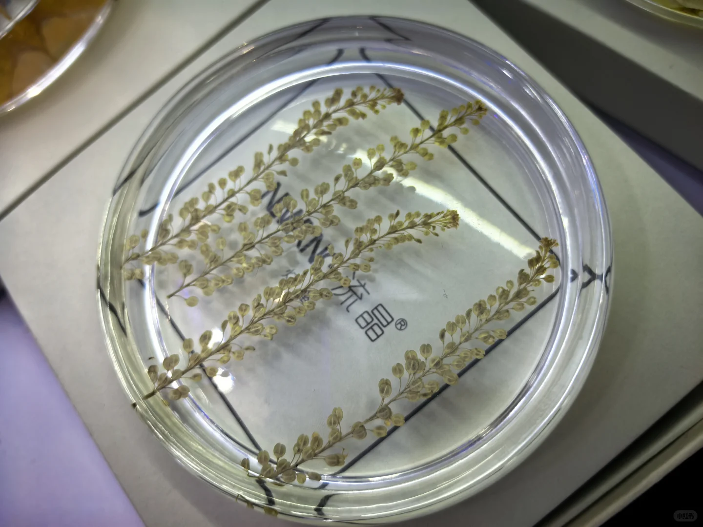 CMF树脂工艺01篇:从液态到固态的工艺魔法