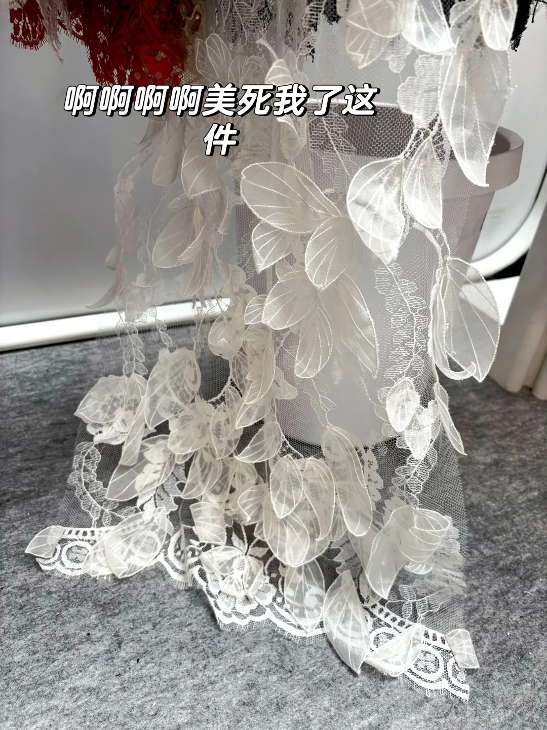 ✨ Solstiss | 法国顶级蕾丝的惊喜相遇