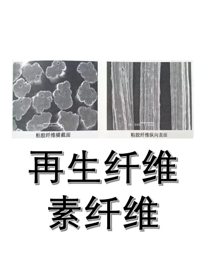 你懂什么是再 生纤维吗?