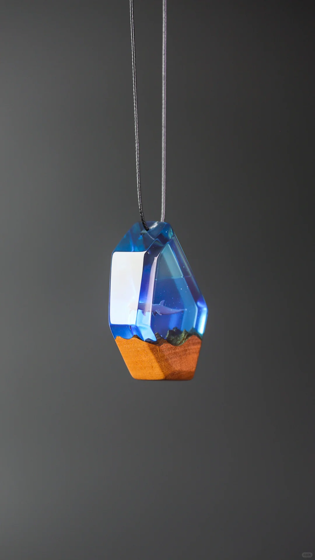 海洋之石封存一只海豚