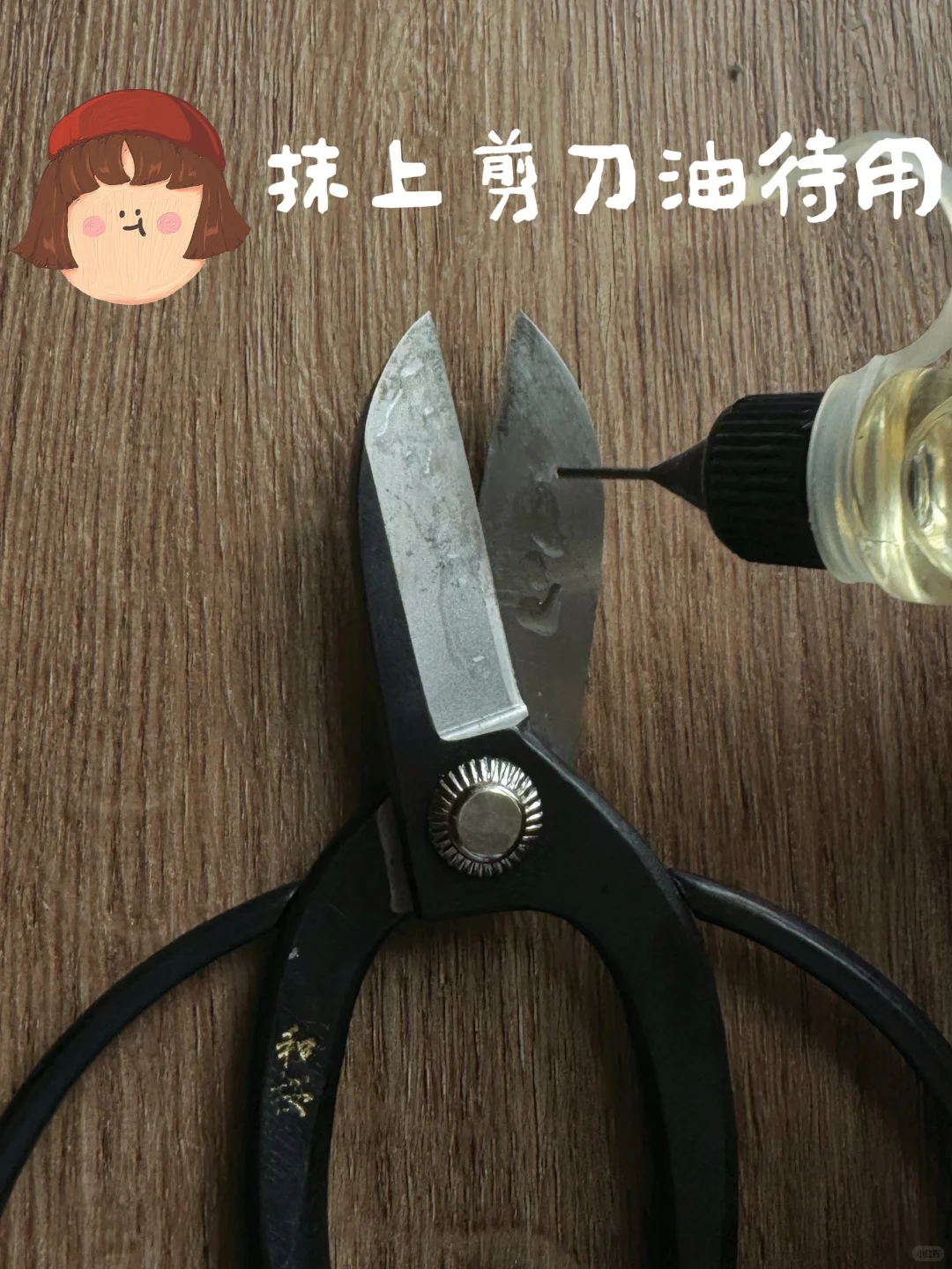 插花必备!拯救你的黑剪刀!