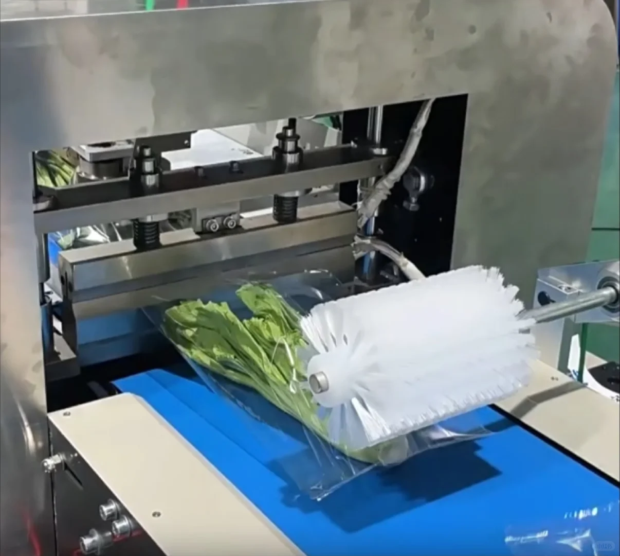 机械设计——叶菜清洗设备