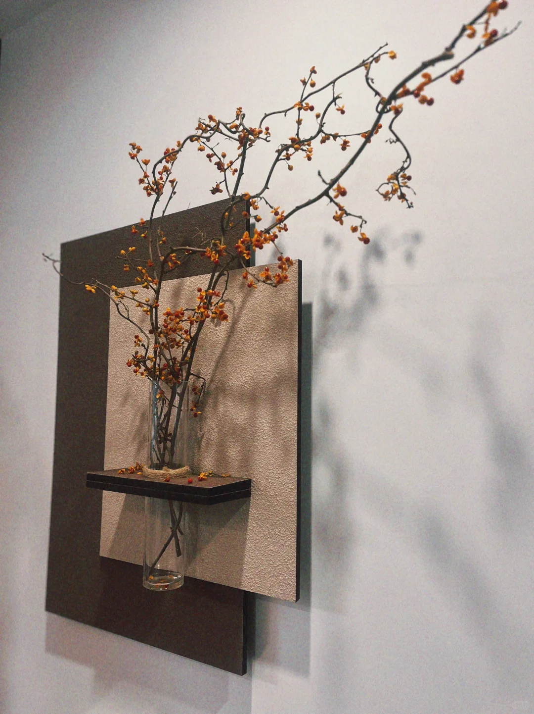 南蛇藤干枝真好看