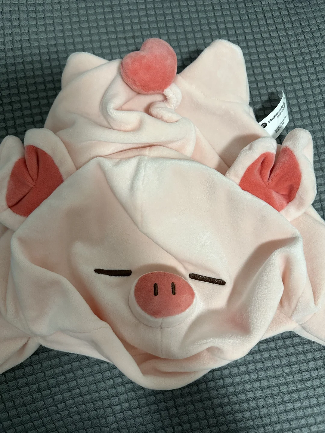 又给猪猪做手术了~