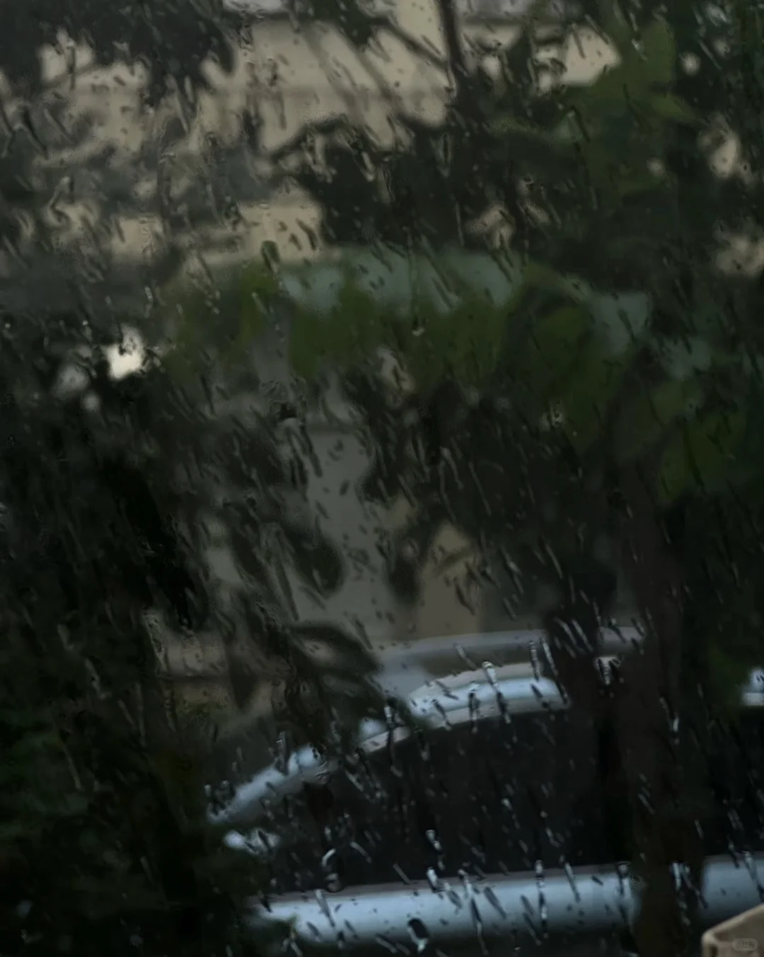 当我拍到雨天的玻璃窗……