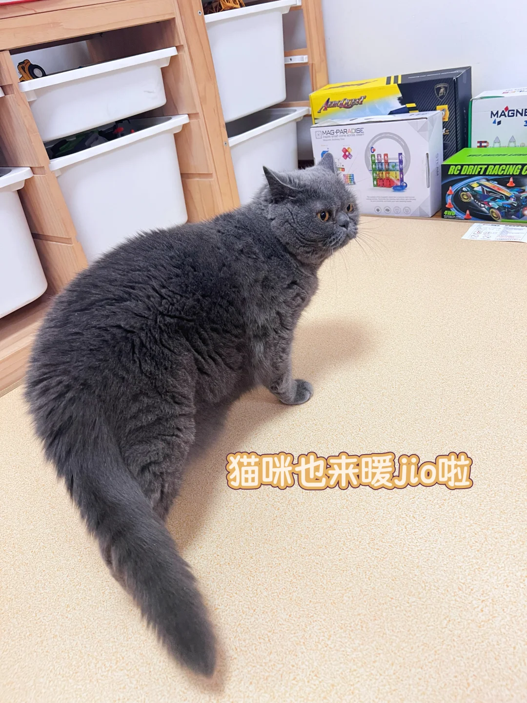 爱趴地上的娃，冬天可咋办呀？！