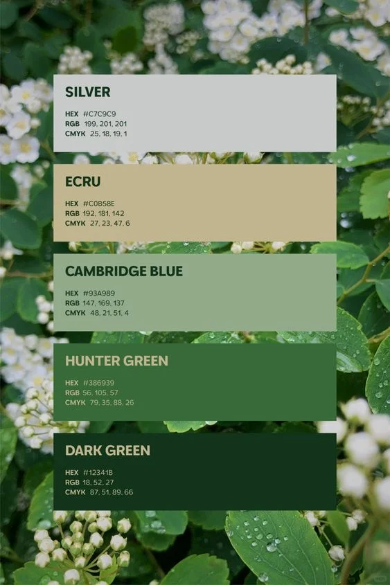 每日色卡Vol.23|春夏必收的氛围感配色 ✅